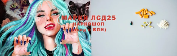 spice Абаза