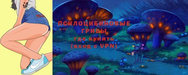 spice Абаза