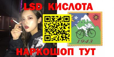 сатива Можга