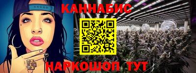 сатива Можга