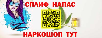 сатива Можга