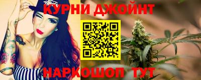 сатива Можга